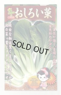おしろい菜 20ml 小林種苗（株）