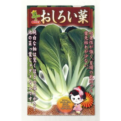 画像1: 送料無料　おしろい菜　20ml   小林種苗（株）