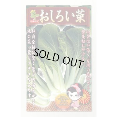 画像1: おしろい菜 20ml 小林種苗（株）