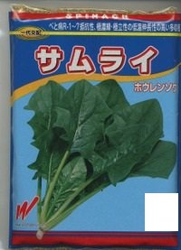 [ほうれんそう]　サムライ　3万粒（種子サイズ：L）　渡辺農事（株）