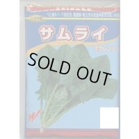[ほうれんそう]　サムライ　3万粒（種子サイズ：L）　渡辺農事（株）