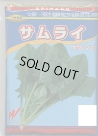 [ほうれんそう]　サムライ　3万粒（種子サイズ：L）　渡辺農事（株）