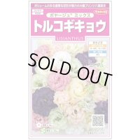 送料無料　花の種　トルコギキョウ　ボヤージュミックス　約40粒　　(株)サカタのタネ　実咲350（026123）