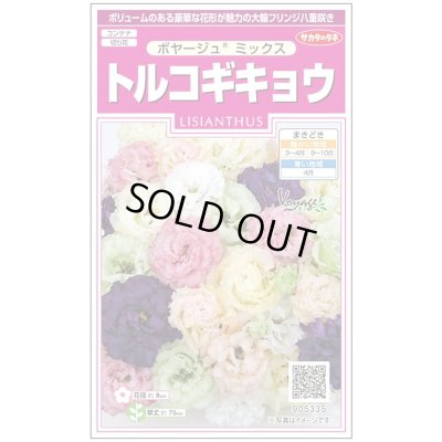 画像1: 送料無料　花の種　トルコギキョウ　ボヤージュミックス　約40粒　　(株)サカタのタネ　実咲350（026123）