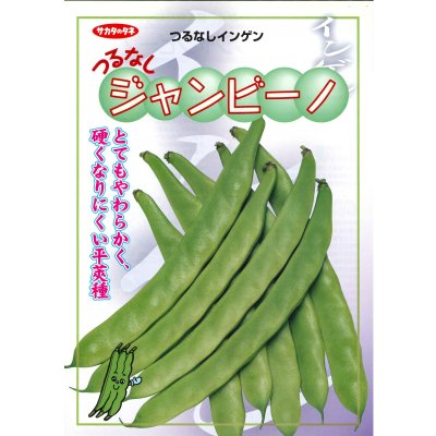 画像2: 送料無料 [いんげん] インゲン つるなしジャンビーノ 1dl (株)サカタのタネ