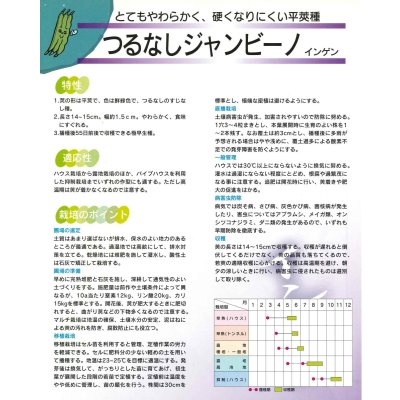 画像4: 送料無料 [いんげん] インゲン つるなしジャンビーノ 1dl (株)サカタのタネ