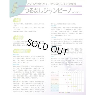 画像4: 送料無料　[いんげん]　インゲン　つるなしジャンビーノ　1dl　(株)サカタのタネ
