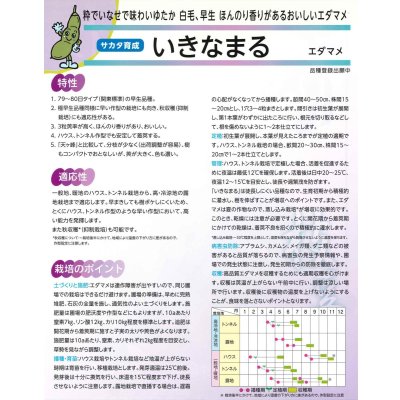 画像7: 送料無料　[枝豆]　いきなまる　約40粒　(株)サカタのタネ　実咲350　（003157）　　　　　　　　　　　　　　　　　　　　　　　　　　　　　　　　　　　　