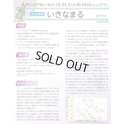 画像7: 送料無料　[枝豆]　いきなまる　約40粒　(株)サカタのタネ　実咲350　（003157）　　　　　　　　　　　　　　　　　　　　　　　　　　　　　　　　　　　　