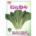 画像2: 送料無料　[小松菜]　いなむら　20ml　（株）サカタのタネ (2)