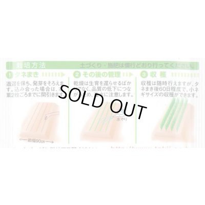 画像4: [ねぎ] 京千緑 15ml タキイ種苗 GF