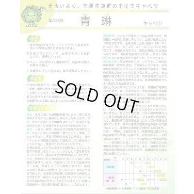 画像4: 送料無料　[キャベツ]　青琳　ペレット種子5千粒　（株）サカタのタネ