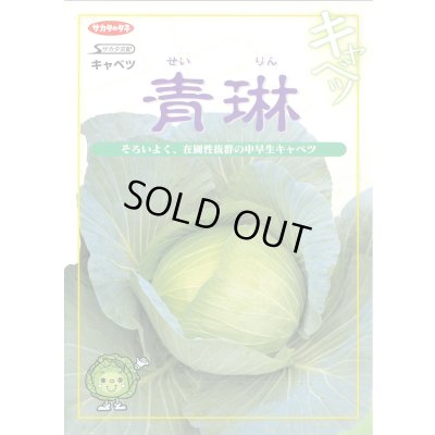 画像2: 送料無料　[キャベツ]　青琳　ペレット種子5千粒　（株）サカタのタネ