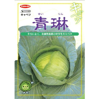 画像2: 送料無料 [キャベツ] 青琳 2000粒 （株）サカタのタネ