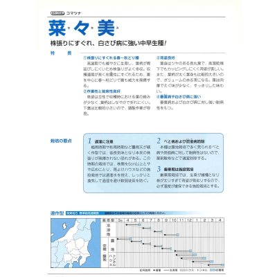 画像3: 送料無料　[小松菜]　菜々美　2dl　タキイ種苗(株)