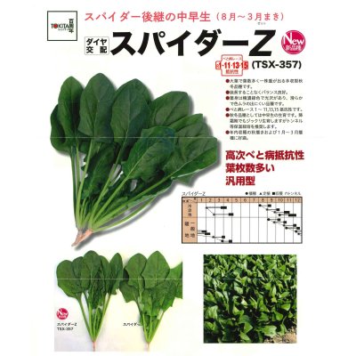 画像2: ほうれんそう　スパイダーZ　（種子サイズM）3万粒　トキタ種苗（株）