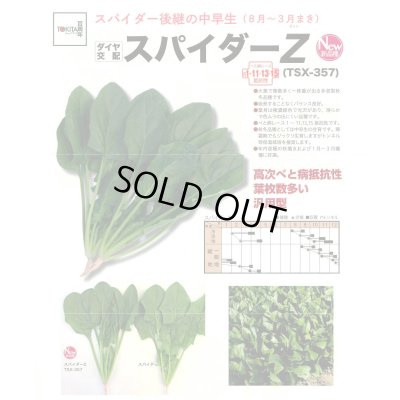 画像2: ほうれんそう　スパイダーZ　（種子サイズM）3万粒　トキタ種苗（株）