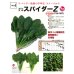 画像2: ほうれんそう　スパイダーZ　（種子サイズM）3万粒　トキタ種苗（株） (2)