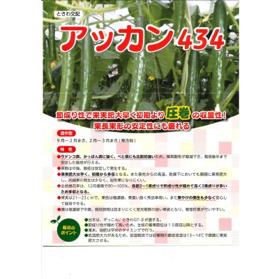 画像2: 送料無料　[キュウリ]　アッカン４３４　350粒　(株)ときわ研究場