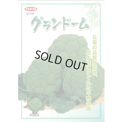 画像3: 送料無料　[ブロッコリー]　グランドーム　ぺレット種子　125粒　(株)サカタのタネ   実咲550（003176）