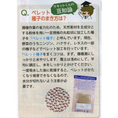 画像5: 送料無料　[キャベツ]　夢ごろも　ペレット種子5千粒　タキイ種苗(株)