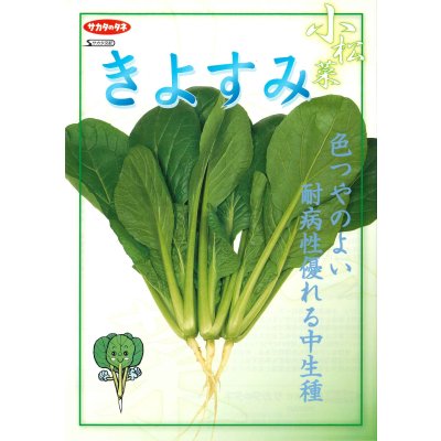 画像2: 送料無料　[小松菜]　きよすみ　20ml　（株）サカタのタネ