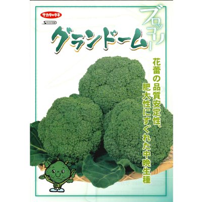 画像3: 送料無料 [ブロッコリー] グランドーム ペレット種子 5000粒 (株)サカタのタネ