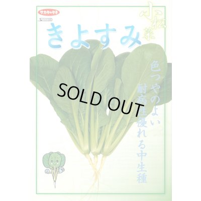 画像2: [シーダー種子]　小松菜　きよすみ　1粒×5cm間隔