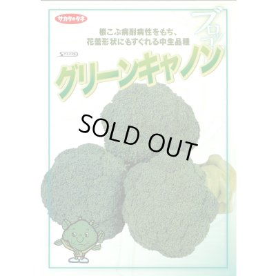 画像2: 送料無料　[ブロッコリー]　グリーンキャノン　2000粒　(株)サカタのタネ