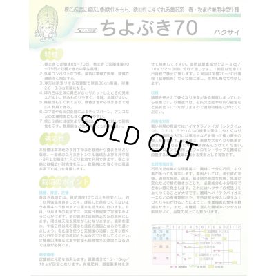 画像2: 送料無料　[白菜]　ちよぶき70　20ml　（株）サカタのタネ