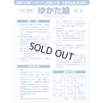 画像3: 送料無料　[枝豆]　ゆかた娘　100粒　カネコ種苗（株）