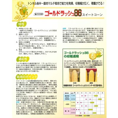 画像7: 送料無料 [とうもろこし] ゴールドラッシュ86 200粒 (株)サカタのタネ