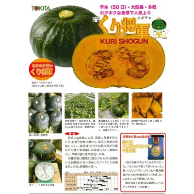画像2: 送料無料　[かぼちゃ]　くり将軍　100粒　トキタ種苗(株)