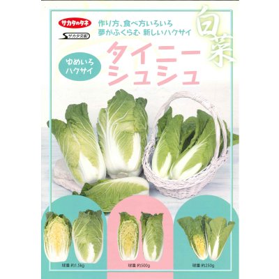 画像2: [白菜] タイニーシュシュ ペレット5000粒 （株）サカタのタネ