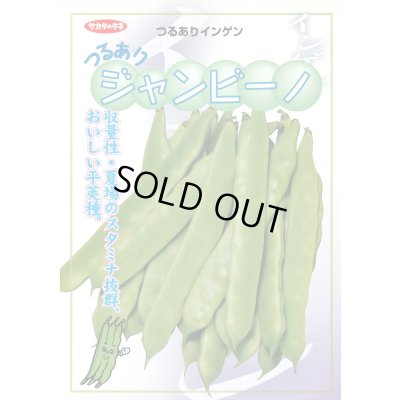画像2: 送料無料　[いんげん]　つるあり　ジャンビーノ菜豆　1dl　(株)サカタのタネ