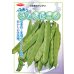 画像2: 送料無料　[いんげん]　つるあり　ジャンビーノ菜豆　1dl　(株)サカタのタネ (2)