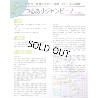 画像5: 送料無料　[いんげん]　つるあり　ジャンビーノ菜豆　1dl　(株)サカタのタネ