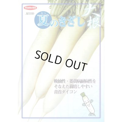 画像3: 送料無料 [大根] 夏のきざし 20ml サカタ交配