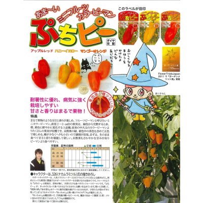 画像2: 送料無料　[ピーマン]　ぷちピープロ　レッド　100粒　トキタ種苗(株)