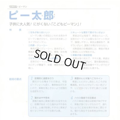 画像2: 送料無料　[ピーマン]　こどもピーマン　ピー太郎　500粒　タキイ種苗(株)