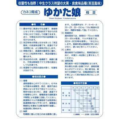 画像3: [枝豆]　ゆかた娘　2000粒　カネコ種苗（株）