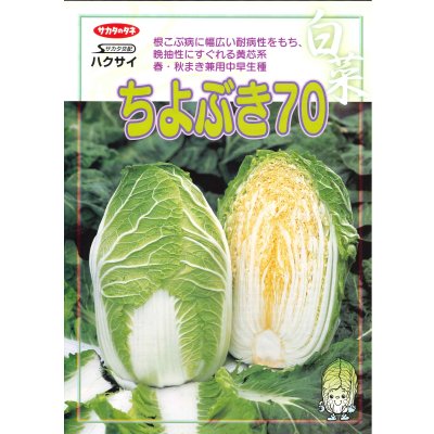 画像2: [白菜] ちよぶき70 約110粒 (株)サカタのタネ 実咲450(003426)