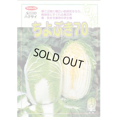 画像2: 送料無料　[白菜]　ちよぶき70　約110粒　（株）サカタのタネ　実咲450（003426）