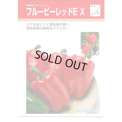 画像4: 送料無料　[ピーマン]　カラーピーマン　フルーピーレッドEX　500粒　レッド　タキイ種苗(株)
