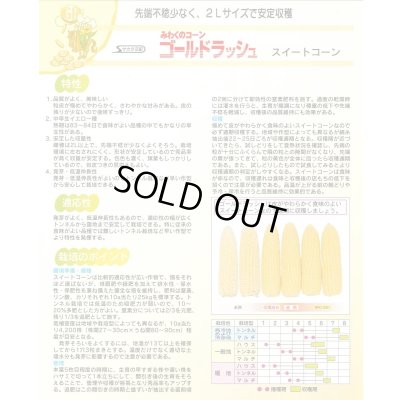 画像2: [とうもろこし] ゴールドラッシュ 2000粒 (株)サカタのタネ