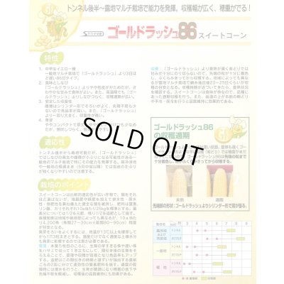 画像6: 送料無料[とうもろこし]　ゴールドラッシュ86　2000粒　(株)サカタのタネ