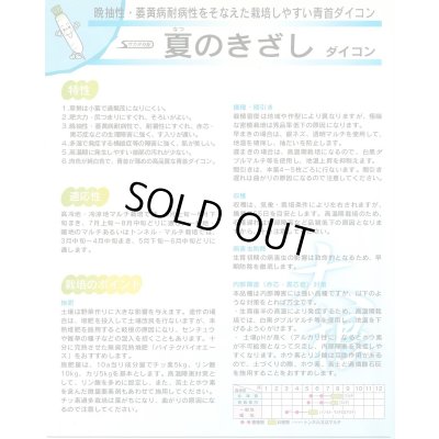 画像4: 送料無料 [大根] 夏のきざし 20ml サカタ交配