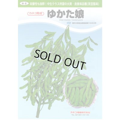 画像2: 送料無料　[枝豆]　ゆかた娘　100粒　カネコ種苗（株）