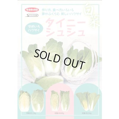 画像2: 送料無料　[白菜]　タイニーシュシュ　約300粒　(株)サカタのタネ　実咲450（003430）