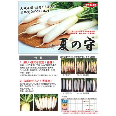 画像3: [大根] 夏の守 800粒 (株)サカタのタネ